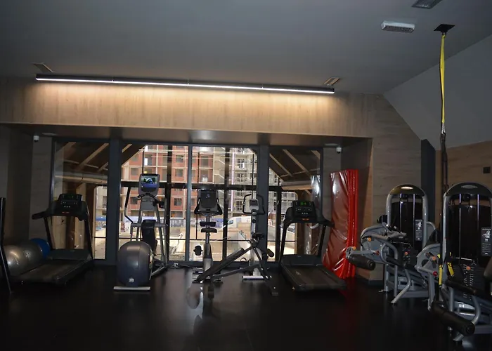 Lola Titova 公寓 *